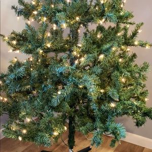 Meet your Posher, Tamara